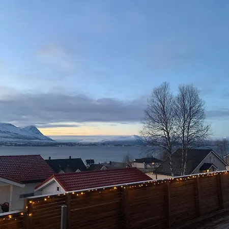 Aurora Borealis Willa *